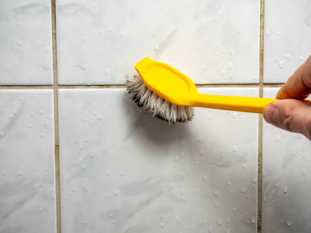 Best DIY Mold Remediation Support Services in Fullerton, CA