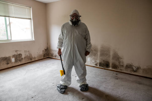 Best Residential Mold Remediation in Fullerton, CA